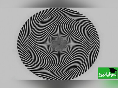(ویدئو) خطای دید جادویی و سرگرم کننده/ سعی کنید حروف درون تصویر را بخوانید