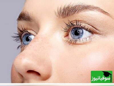 (ویدئو) 20 خطای دید جالب و دیدنی!