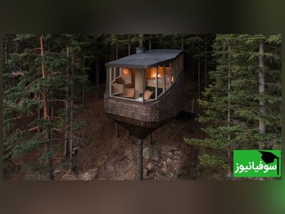 ویدیو/ ساخت کلبۀ چوبی مقاوم در اعماق جنگل بدون استفاده از میخ، فقط با کمک اتصالات طبیعی