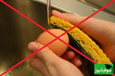هشدار برای شستن تخم‌مرغ/ مراقب سلامتی خود باشید