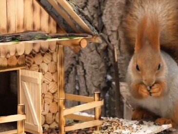 ویدیو/ خلاقیت محشر یک هنرمند در ساخت خانۀ ویلایی لوکس با چوب بستنی و صمغ درخت برای سنجاب درختی