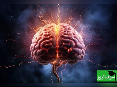 (ویدئو) مغز انسان مدل کوچک شدۀ کیهان