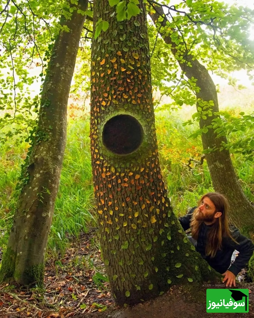 آرایه، لیتِل میلفورد، ولز