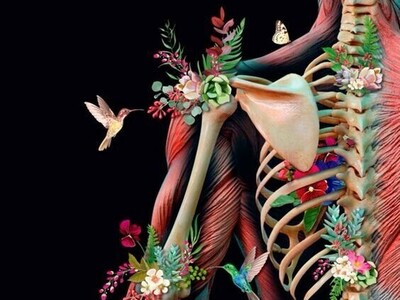 صدای شکستن قولنج، موسیقی لذت‌بخش یا زنگ خطر برای سلامتی؟ / تا دیر نشده دست بردار از این کار!