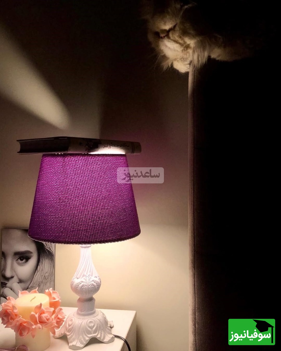 چیدمان منزل علی اوجی و نرگس محمدی