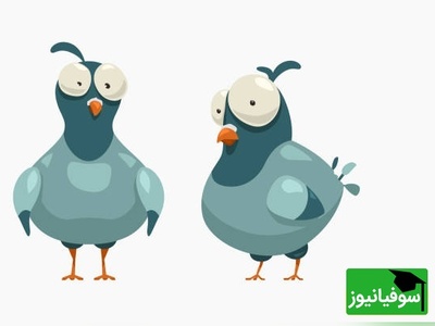 این تصویر اعصاب چشم‌ها را به بازی می‌گیرد؛ کبوتر کجاست؟ فقط 8 ثانیه زمان داری