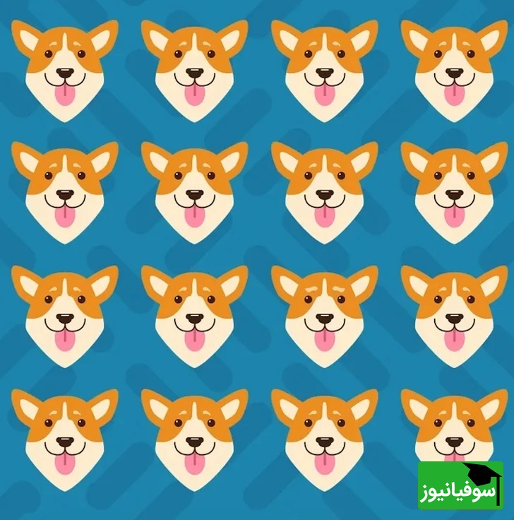 معما