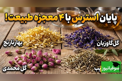 (ویدئو) راز قدیمی ایرانی‌ها برای آرامش شبانه؛ ترکیبی که استرس را در چند دقیقه محو می‌کند