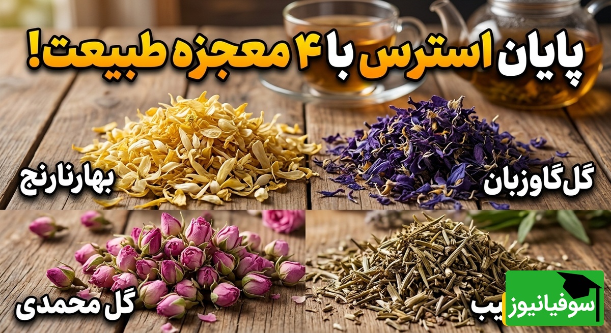 (ویدئو) راز قدیمی ایرانی‌ها برای آرامش شبانه؛ ترکیبی که استرس را در چند دقیقه محو می‌کند