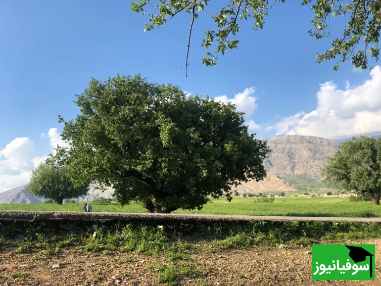 عکس از: سایت Google Maps