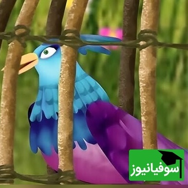 ویدیو | ضرب‌المثل؛ آدمای مردم‌آزار، فکر می‌کنن زرنگن… آخرش خودشون گیر می‌افتن!