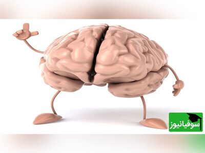 (ویدئو) افسانه یا واقعیت؟ فقط 10 درصد مغز قابل استفاده است!