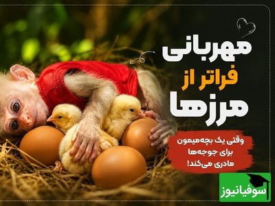 برای دیدن این ویدیو دستمال کاغذی کنارتون باشه/ این بچه میمون 5تا جوجه ناز رو تو جنگل به سرپرستی گرفت😍