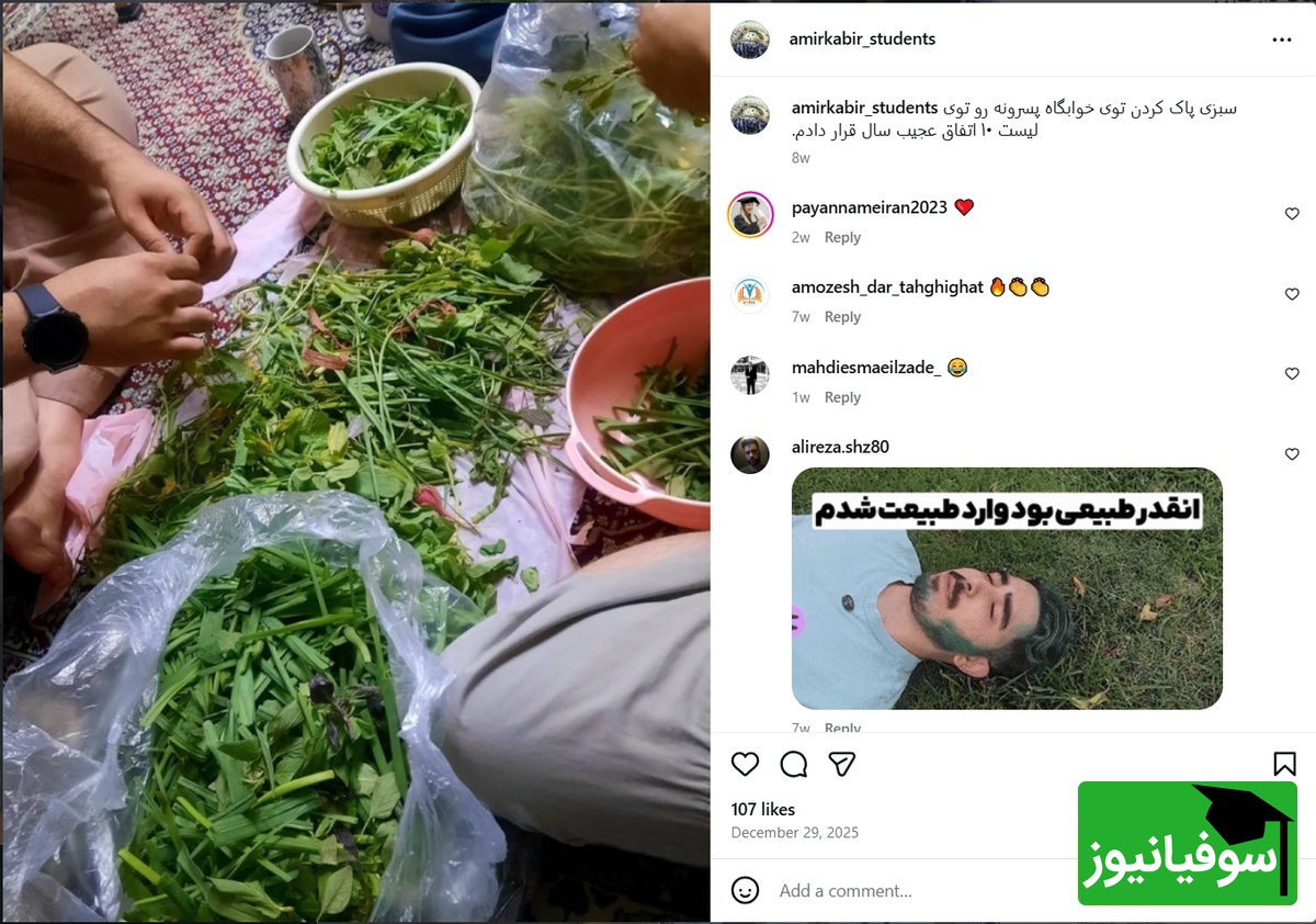 دانشگاه امیرکبیر