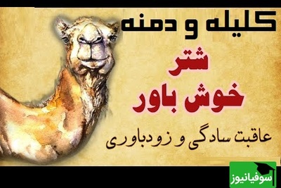 حکایت‌های خواندنی/ بینظیرترین داستان کلیله و دمنه؛ شتر خوش‌باور/ آخر و عاقبت سادگی و زودباوری