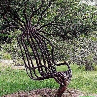 ویدیو| طراحی خلاقانه با طبیعت؛ صندلی‌هایی که در باغ شما رشد می‌کنند!