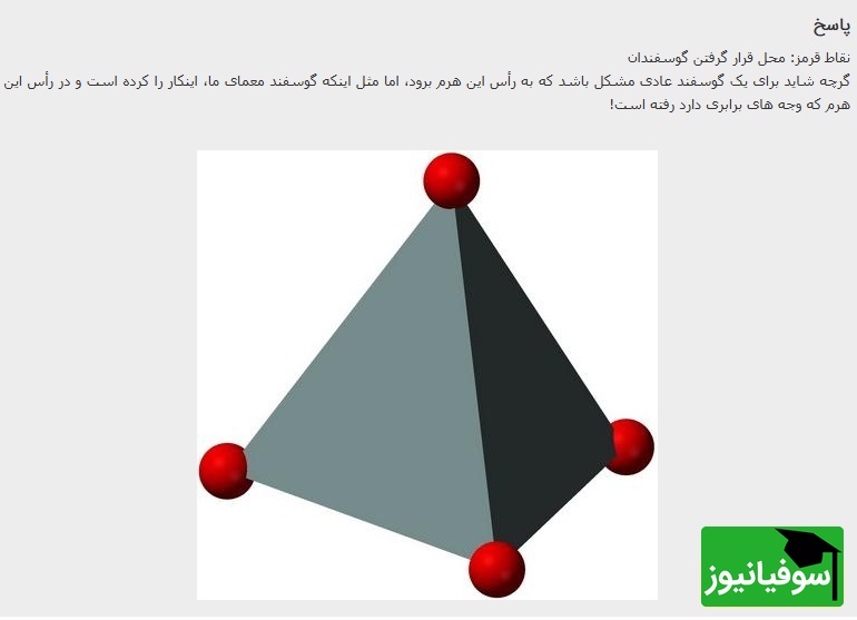 پاسخ تست هوش