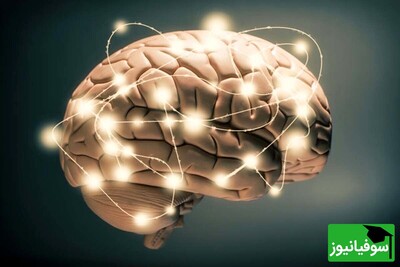 دانشمندان از دقیق‌ترین تصویر مغز رونمایی کردند!