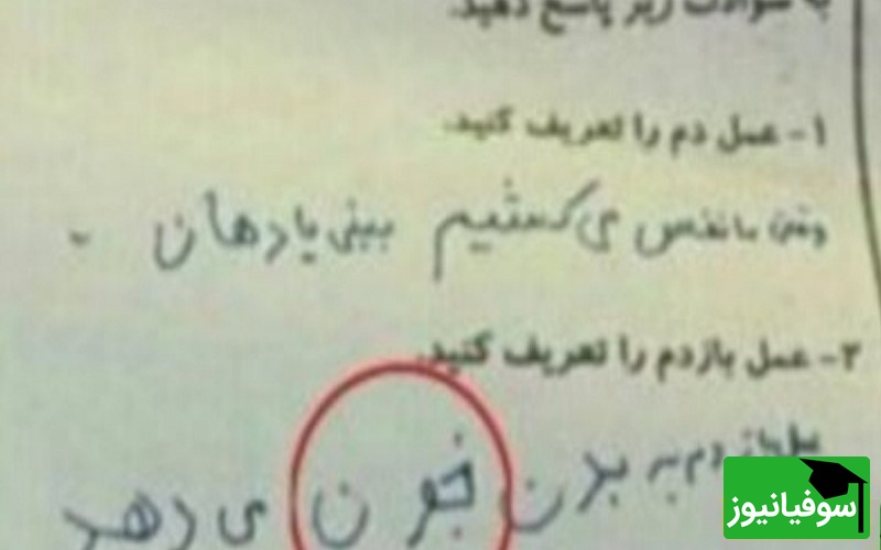 خلاقیت