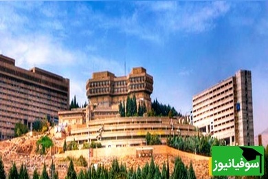 تصاویر دیدنی از محوطه زیبا و آرامبخش دانشگاه شیراز/ جایی که قدم‌زدن میان درختان به اندازه درس خواندن الهام‌بخشه🤩