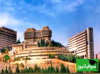 تصاویر دیدنی از محوطه زیبا و آرامبخش دانشگاه شیراز/ جایی که قدم‌زدن میان درختان به اندازه درس خواندن الهام‌بخشه🤩