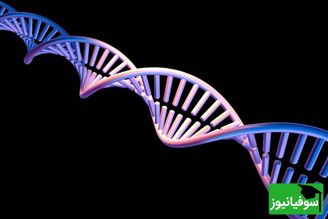 یک گیاه رکورد جهانی بیشترین DNA را با صد متر طول شکست