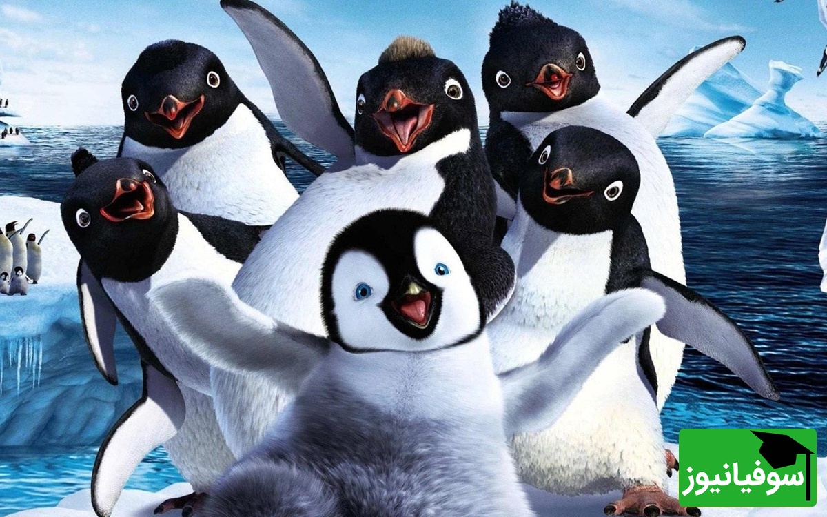معما تصویری| فکر میکنی ضریب هوشیت از انیشتین بیشتره؟ پس پنگوئن گمشده رو زیر 10 ثانیه پیدا کن!