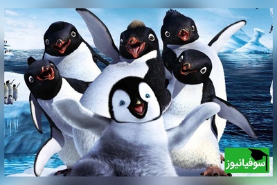 معما تصویری| فکر میکنی ضریب هوشیت از انیشتین بیشتره؟ پس پنگوئن گمشده رو زیر 10 ثانیه پیدا کن!