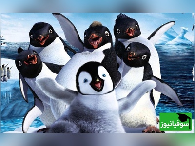 معما تصویری| فکر میکنی ضریب هوشیت از انیشتین بیشتره؟ پس پنگوئن گمشده رو زیر 10 ثانیه پیدا کن!