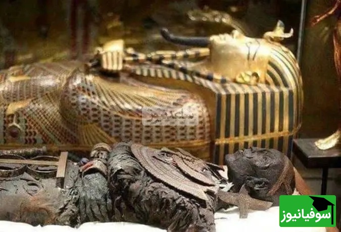 ویدیو/ خنجر طلای «توت عنخ آمون» بیرون‌آمده از مقبرۀ نفرین‌شدۀ فرعون جوان / شاهکاری هولناک از 11 نوع شهاب‌سنگ ملقب به آهن آسمانی در مصر باستان!