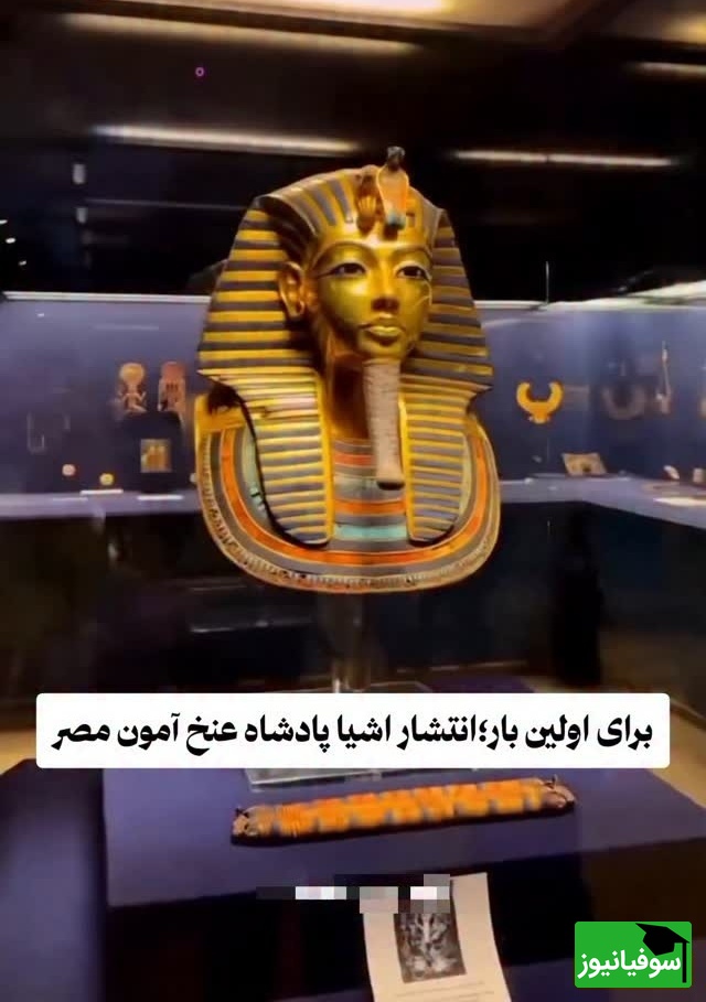 برای اولین‌بار در تاریخ! شاهکارهای توت‌عنخ‌آمون یک‌جا رونمایی شد؛ زیبایی فراتر از تصور بشر