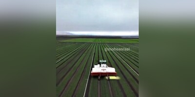 ویدئو/ لیزر موهای زائد زمین‌های کشاورزی با ربات نابودکنندۀ علف‌های هرز