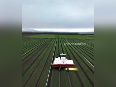 ویدئو/ لیزر موهای زائد زمین‌های کشاورزی با ربات نابودکنندۀ علف‌های هرز