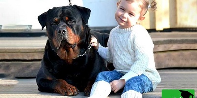 فیلم/ حیات وحش؛ احساس مادرانه سگ روتوایلر پوزه دلقکی به کودک نوپا هنگام وقوع زلزله/ مهر مادری مختص انسان نیست