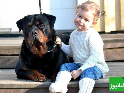 فیلم/ حیات وحش؛ احساس مادرانه سگ روتوایلر پوزه دلقکی به کودک نوپا هنگام وقوع زلزله/ مهر مادری مختص انسان نیست