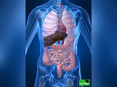 (ویدئو) دانستنی‌های عجیب از بدن که نمی‌دانید!