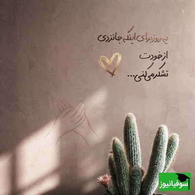 کائنات پیام ویژه ای برات داره/ هیچ شکستی، هیچ تنهایی و هیچ اندوهی نمی‌تواند ارزش واقعی تو را کم کند. تو انسانی ارزشمند هستی و حضورت در این دنیا معنا دارد/ پیام انگیزشی امروز 17 تیر 1405