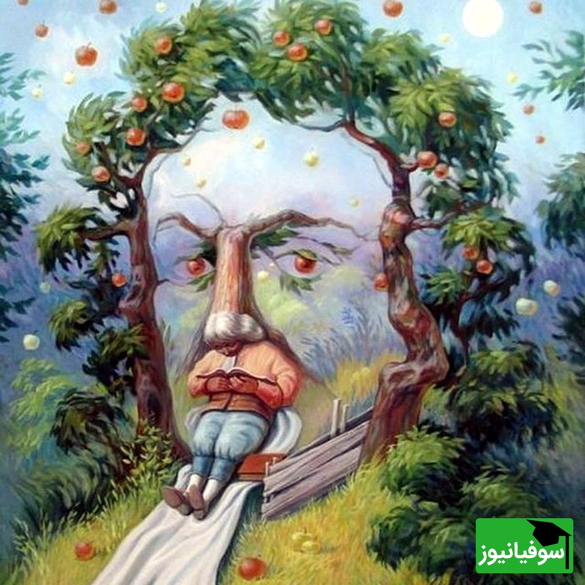 خطای دید/ حتی افرادی با ضریب هوشی بالا و انیشتینی هم نمی‌توانند در کمتر از 4 ثانیه 3 تفاوت موجود در عکس را پیدا کنند