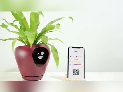 (ویدئو) عملکرد بی‌نظیر گلدان هوشمند لوآ در حفظ و نگهداری گیاهان خانگی