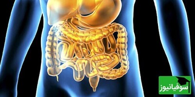 ویدیو / طلایی ترین فرمول درمانگر سیستم گوارشی