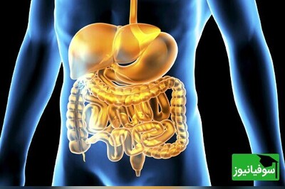 ویدیو / طلایی ترین فرمول درمانگر سیستم گوارشی