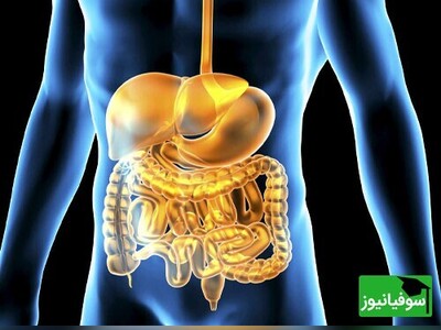 ویدیو / طلایی ترین فرمول درمانگر سیستم گوارشی