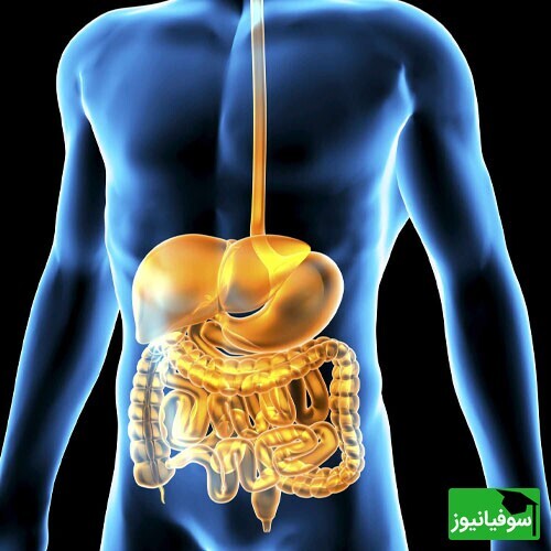 ویدیو / طلایی ترین فرمول درمانگر سیستم گوارشی