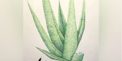 (ویدئو) خلاقیت در کشیدن نقاشی آلوئه‌ورا با فرمول پیوندهای مولکولی در شیمی/ قیمه در ماست ریختن به روایت تصویر...