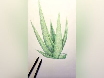 (ویدئو) خلاقیت در کشیدن نقاشی آلوئه‌ورا با فرمول پیوندهای مولکولی در شیمی/ قیمه در ماست ریختن به روایت تصویر...