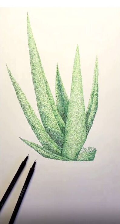 (ویدئو) خلاقیت در کشیدن نقاشی آلوئه‌ورا با فرمول پیوندهای مولکولی در شیمی/ قیمه در ماست ریختن به روایت تصویر...
