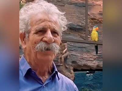 (ویدئو) حضور تاریخی «انیشتین سینمای ایران» در جوکر2/ میدونید 2 تا خرما باهم دعواشون بشه چی میشه؟/ فقط قیافه دیدنی «علی اوجی» و «علی صادقی»😁