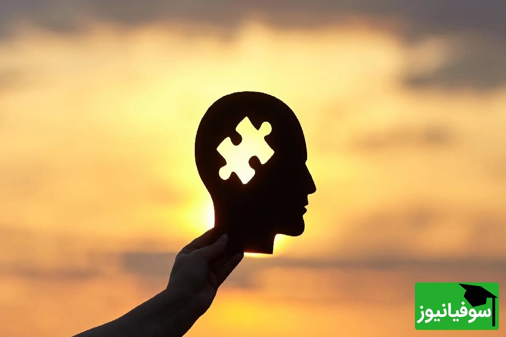 انعطاف‌پذیری مغز