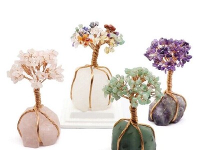 ویدیو/ درختانی از جنس کریستال در پارک ملی آریزونا