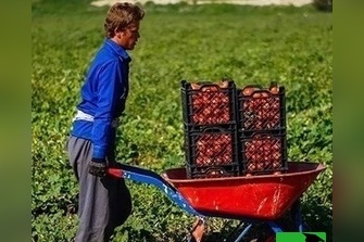 زنگ خلاقیت: ابتکار و نوآوری خنده‌دار کشاورز تبریزی در روش آبیاری جدید شاهکاریه برای خودش/ هنر نزد ایرانیان است و بس!